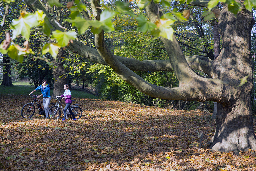 Bad Waltersdorf 3.jpg