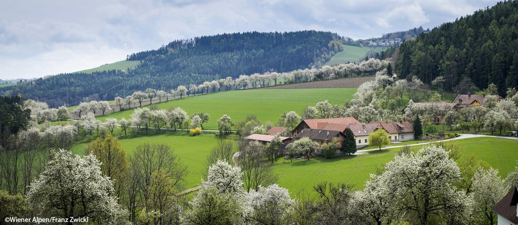 ©Wiener Alpen-Franz Zwickl.jpg
