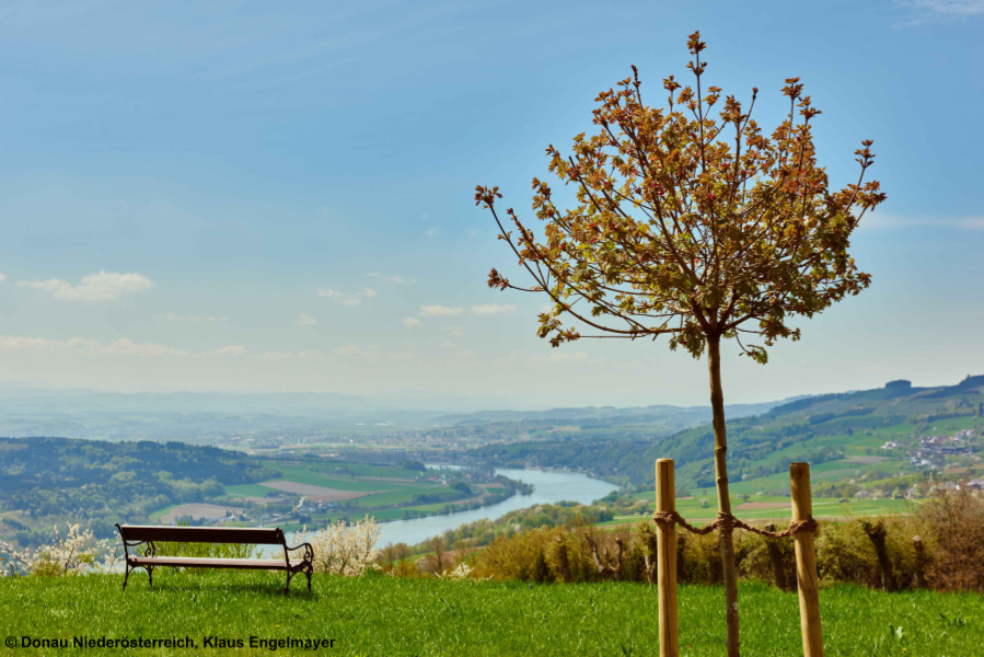 Nibelungengau © Donau Niederösterreich, Klaus Engelmayer.jpg