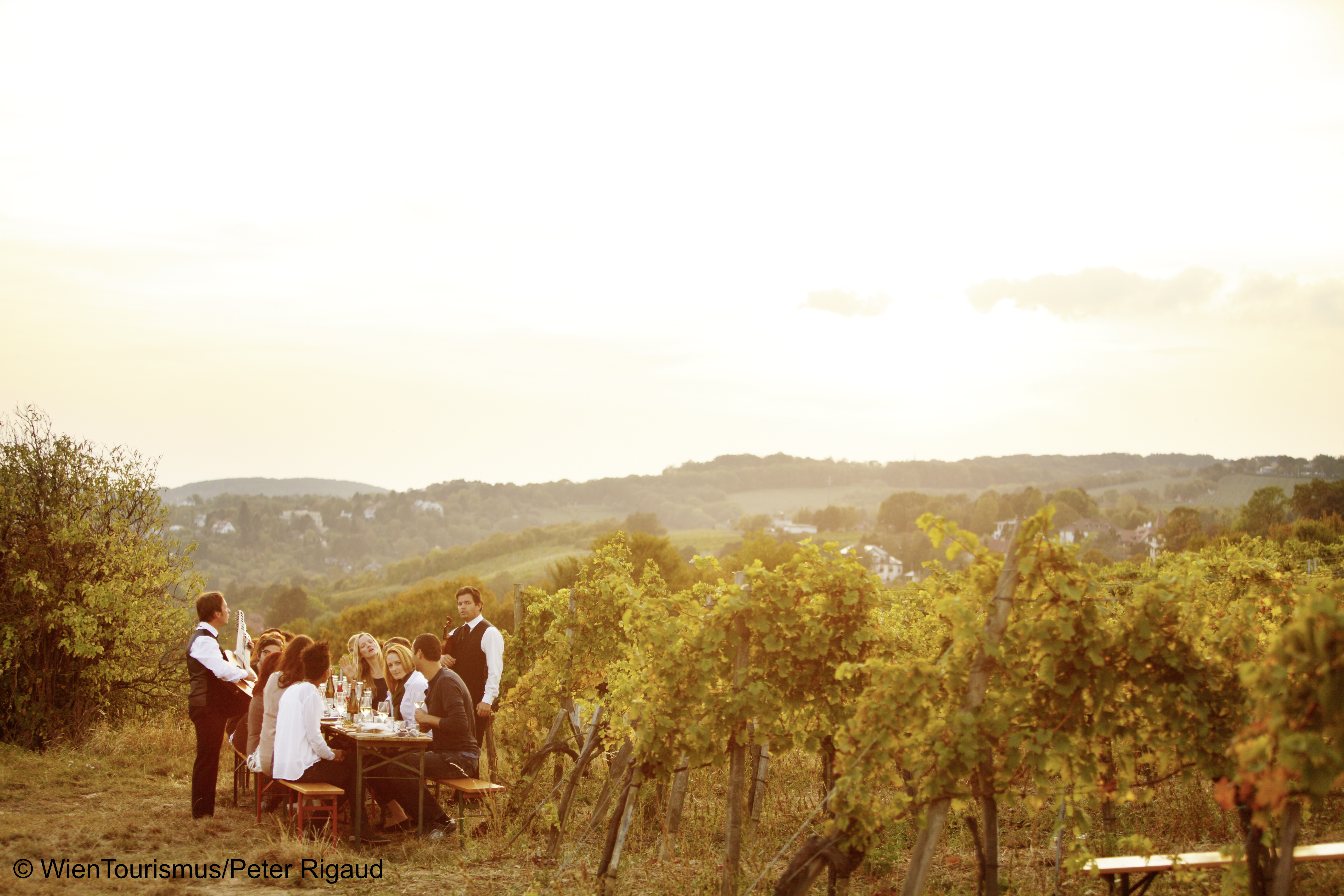 © WienTourismus:Peter Rigaud.jpg