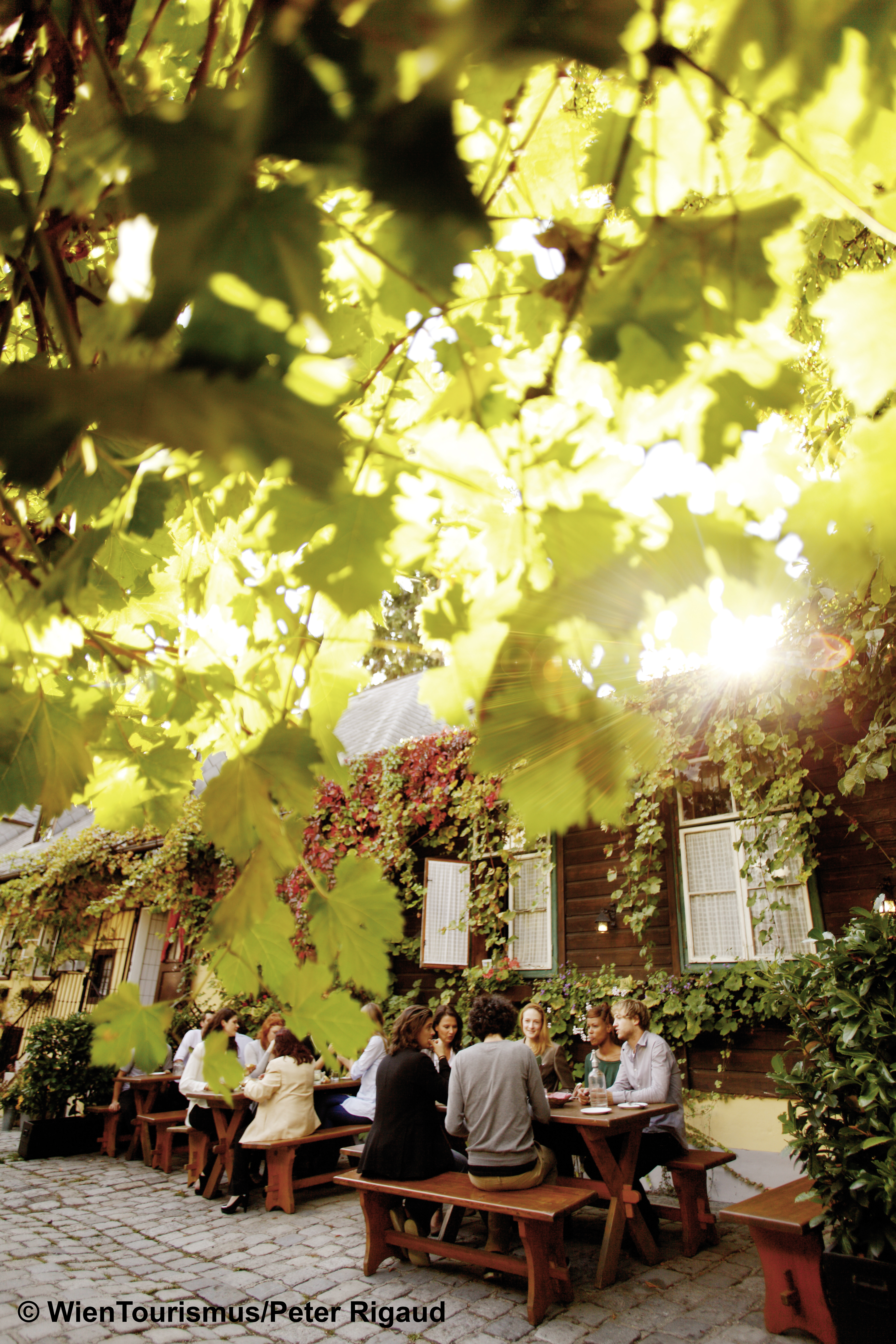 ©- WienTourismus:Peter Rigaud.jpg