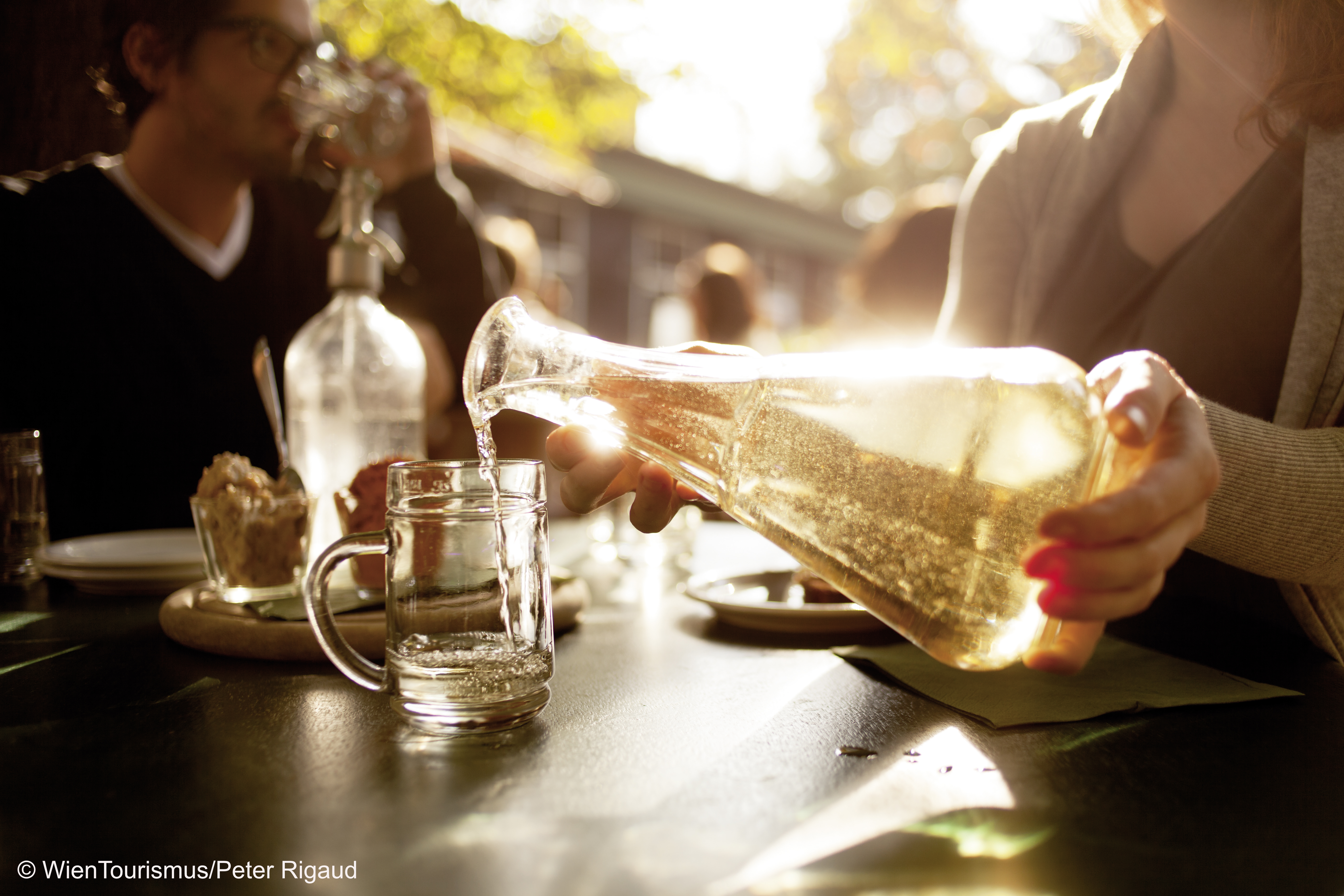 ©_WienTourismus:Peter Rigaud.jpg