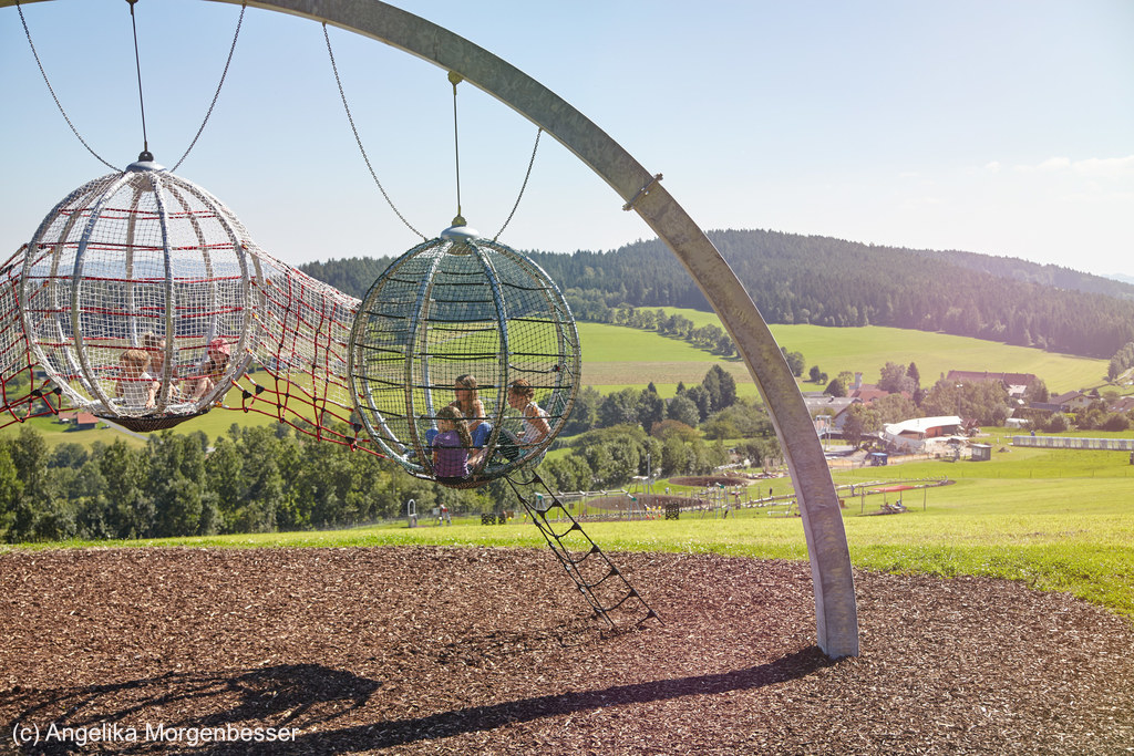 (c) Angelika Morgenbesser.jpg