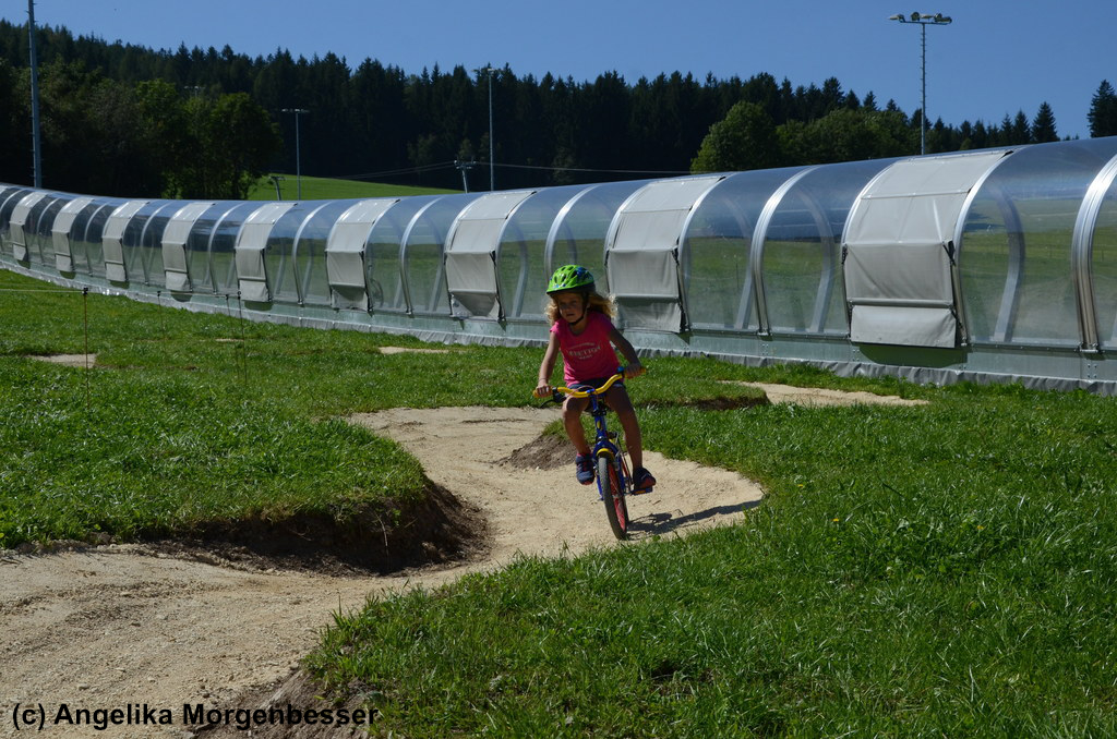 (c)-Angelika Morgenbesser.jpg