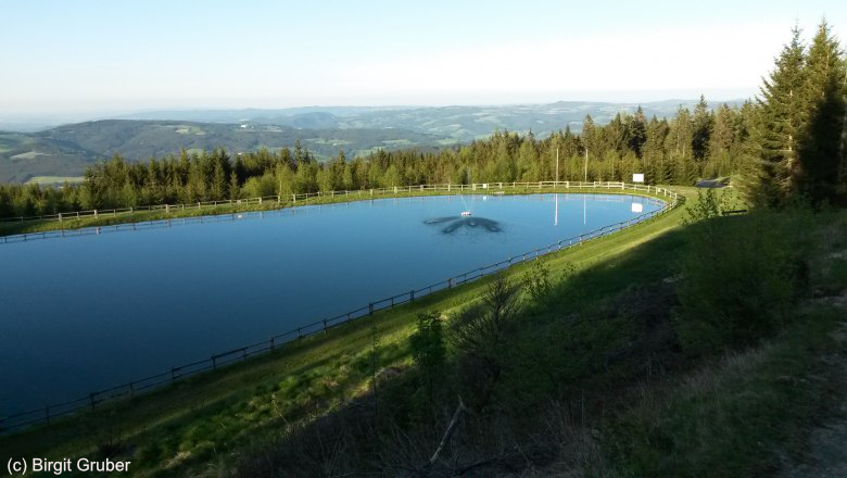 (c) Birgit Gruber, privat.jpg