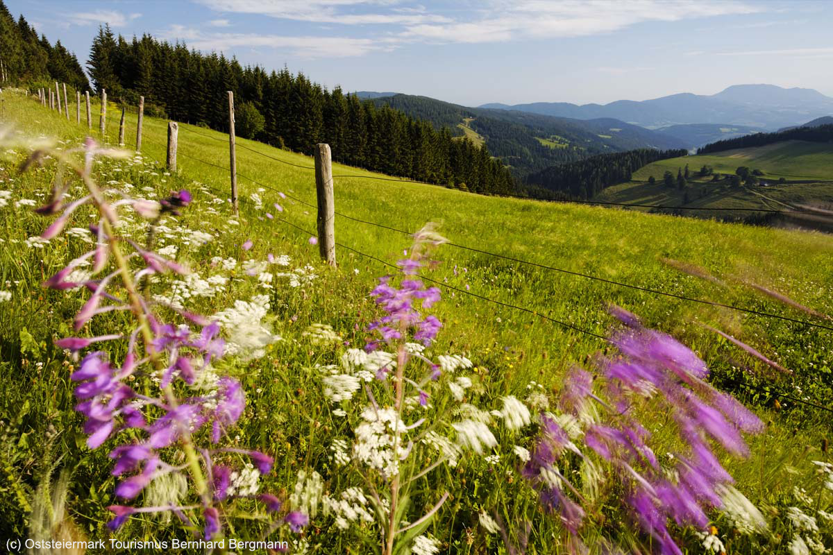 c__Oststeiermark_Tourismus__Bernhard_Bergmann.jpg