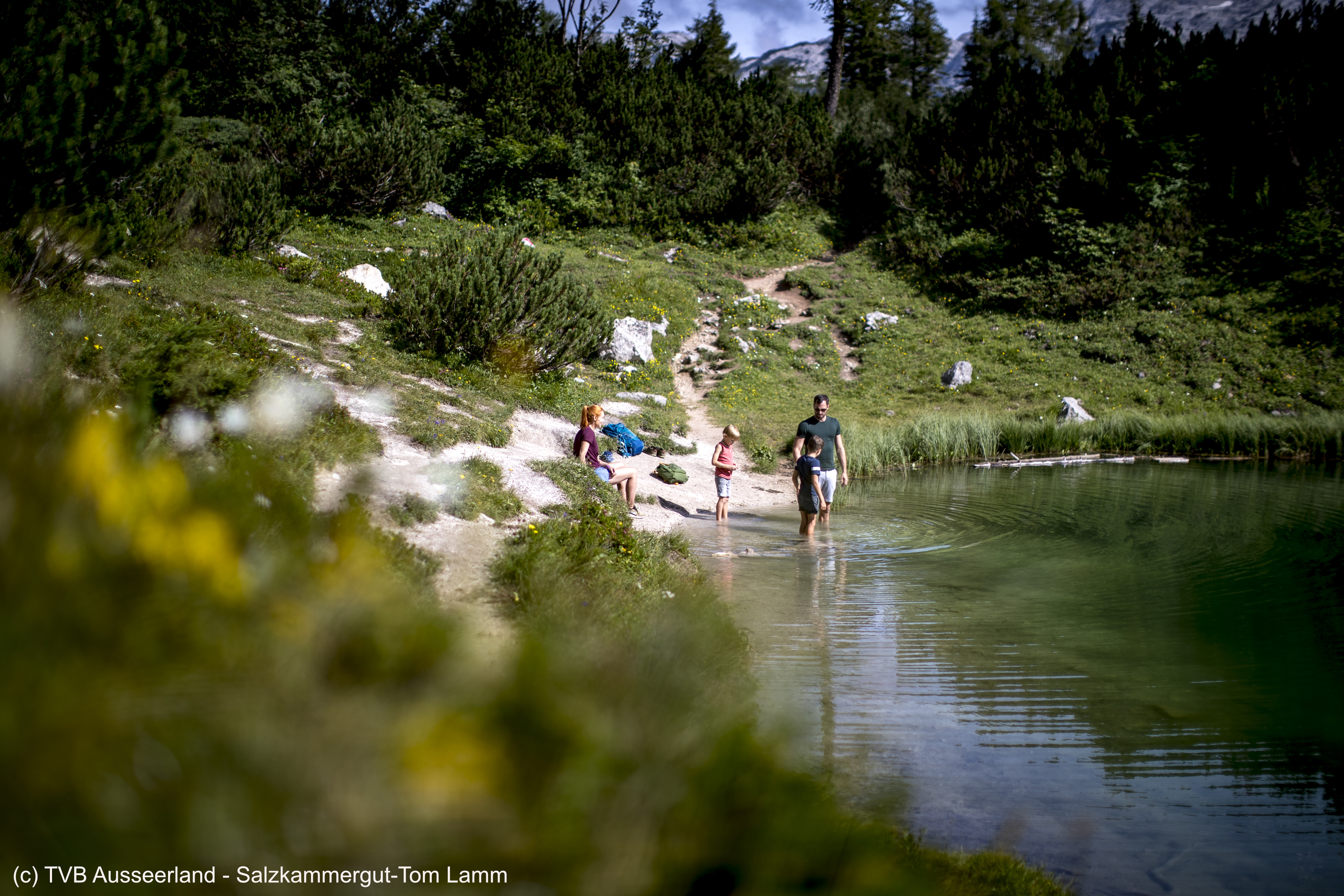 Familienwanderung Tauplitzalm_065_(c) TVB Ausseerland - Salzkammergut-Tom Lamm.jpg