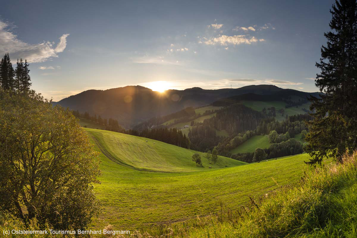 Landschaft_Almenland_3__c__Oststeiermark_Tourismus__Bernhard_Bergmann.jpg