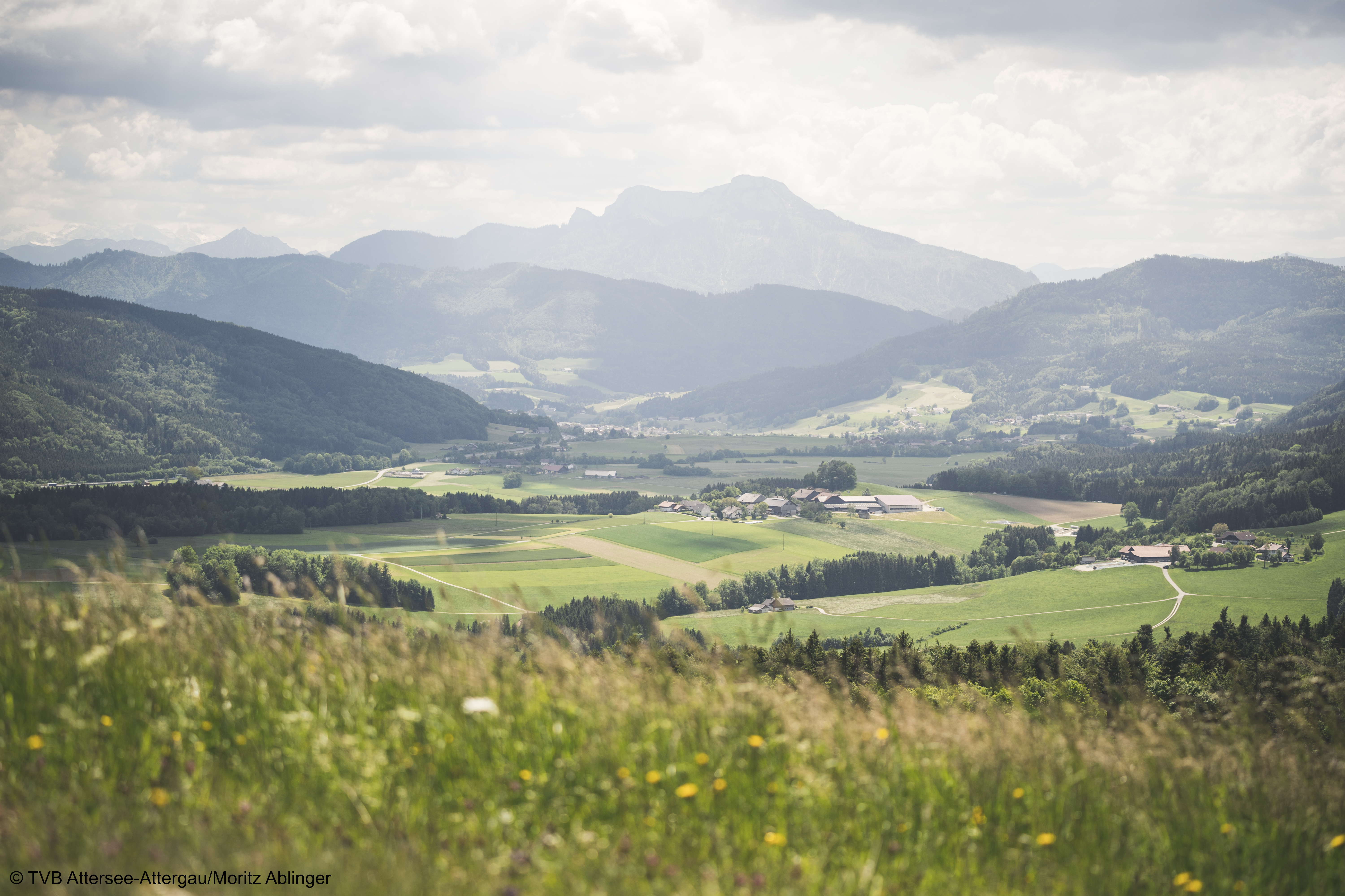 © TVB Attersee-Attergau:Moritz Ablinger-.jpg