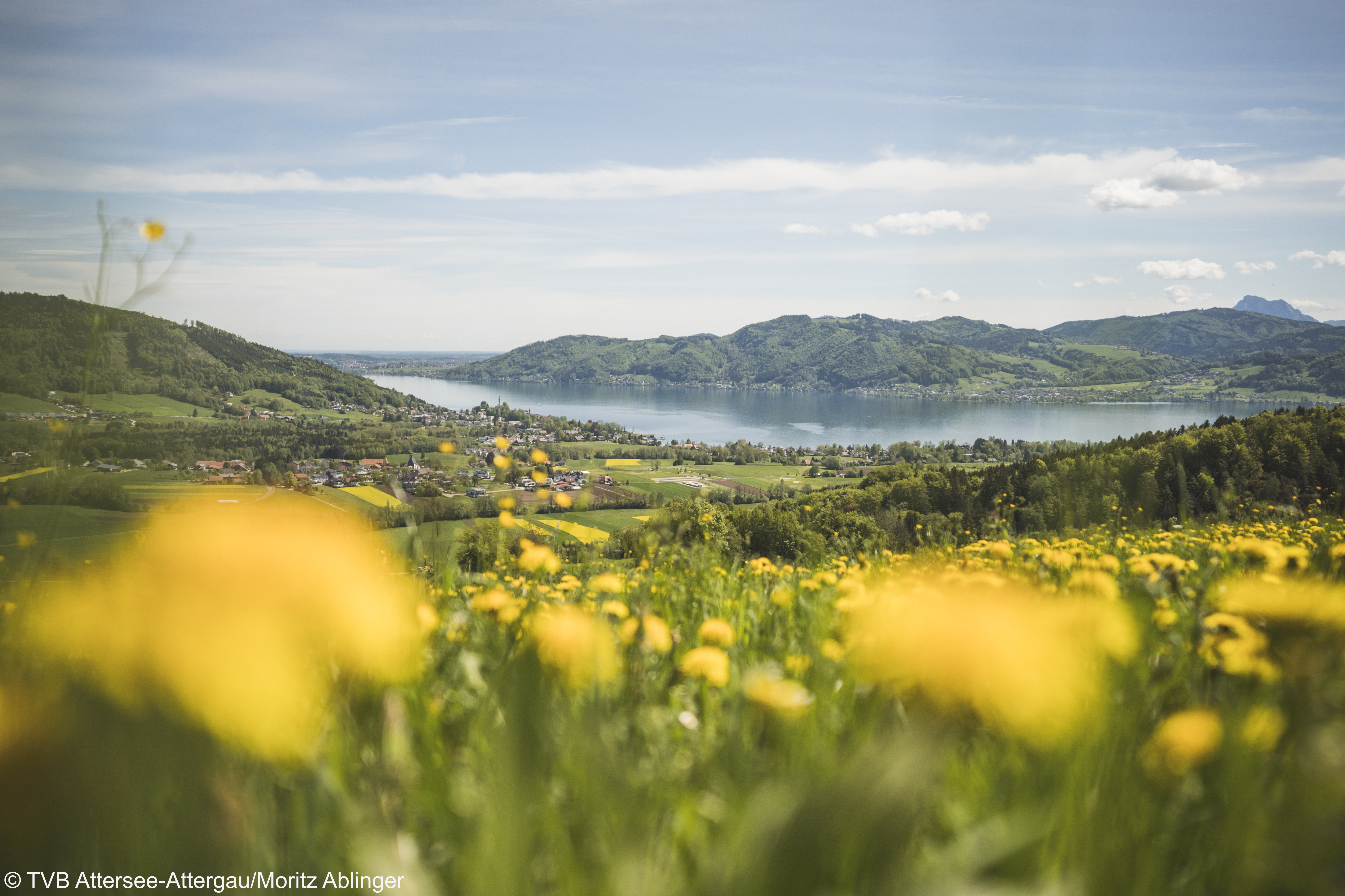 © TVB Attersee-Attergau:Moritz Ablinger.-.jpg