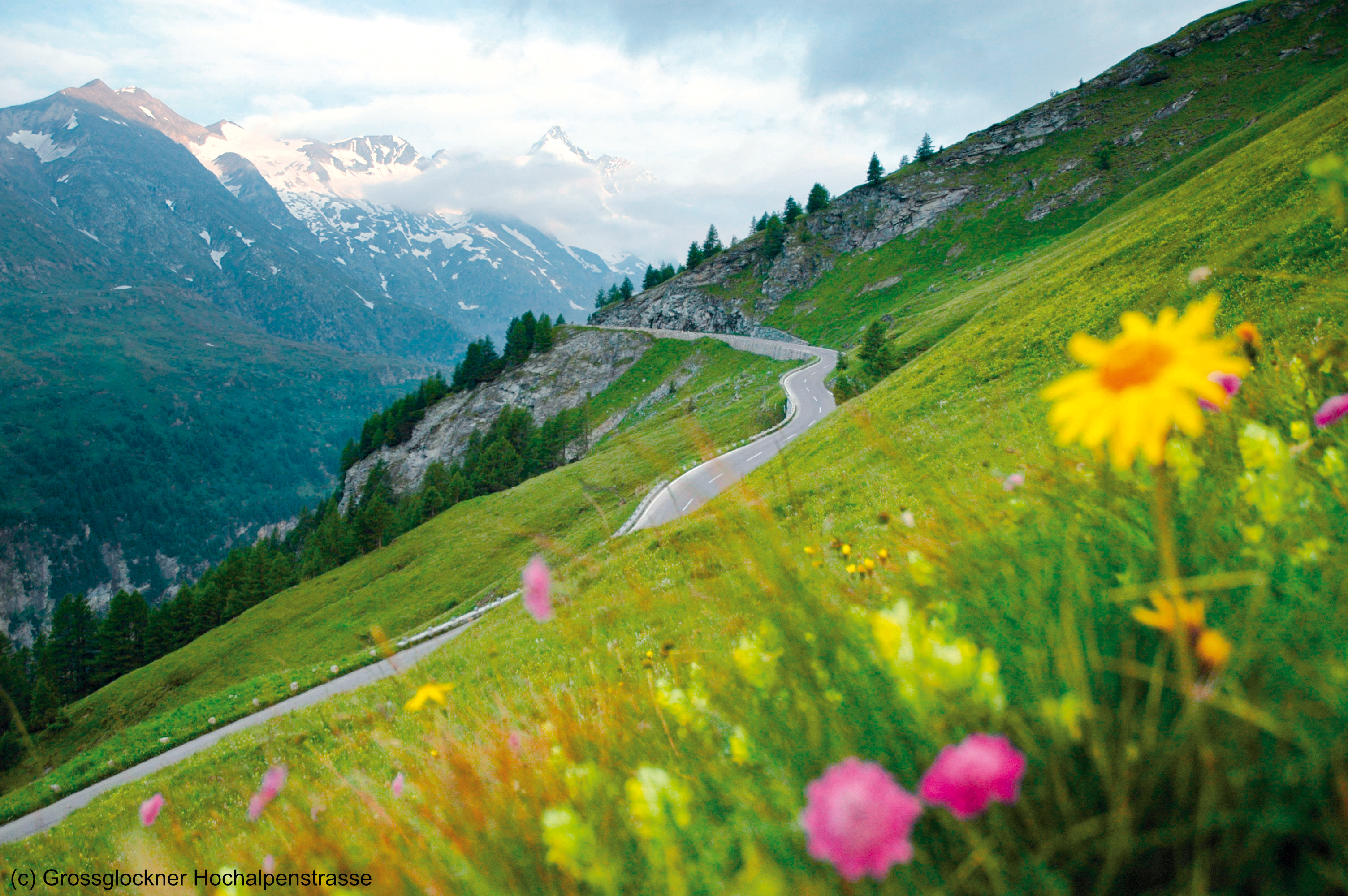 (c) Großglockner Hochalpenstraße --.jpg