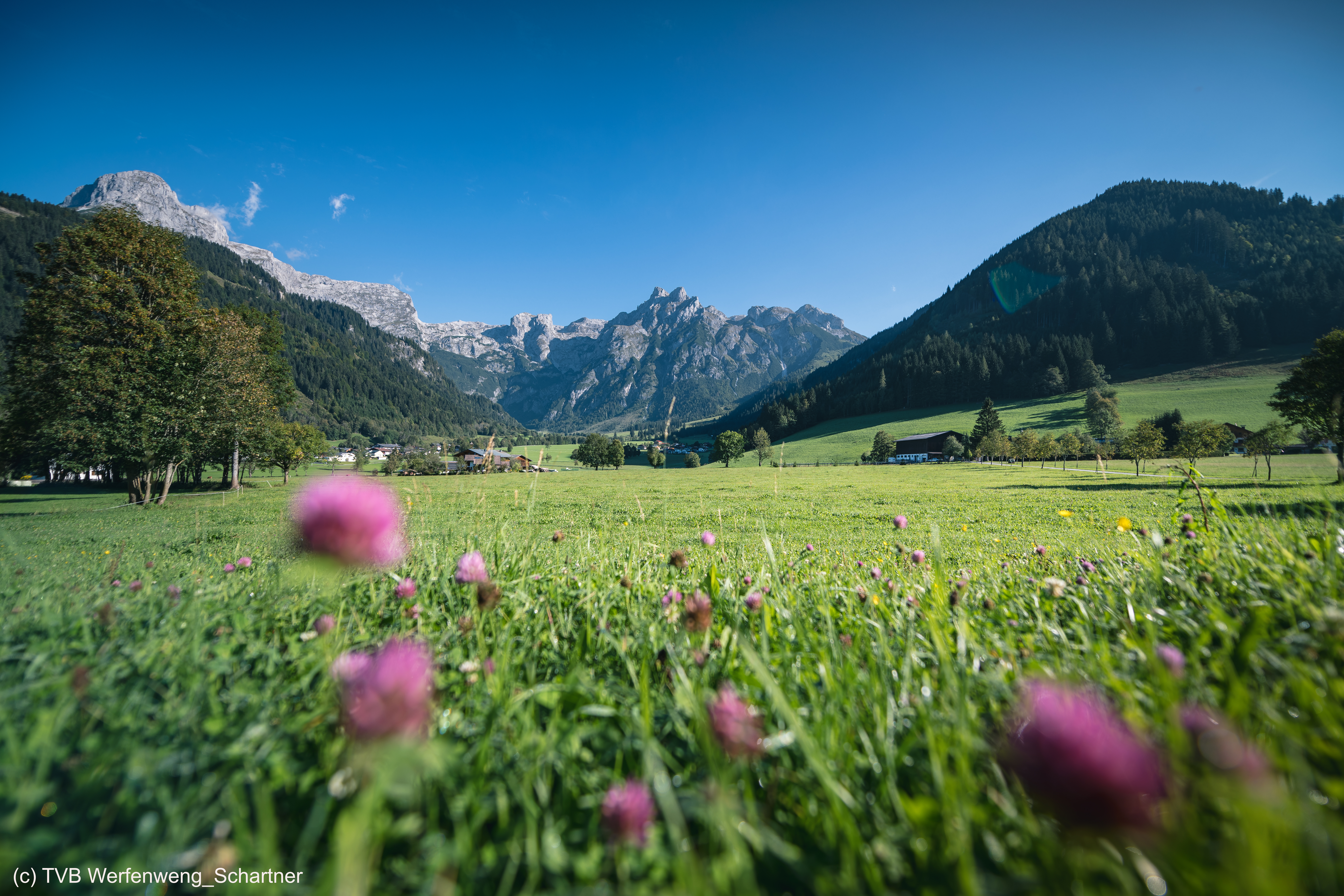 (c) TVB Werfenweng_Schartner.jpg