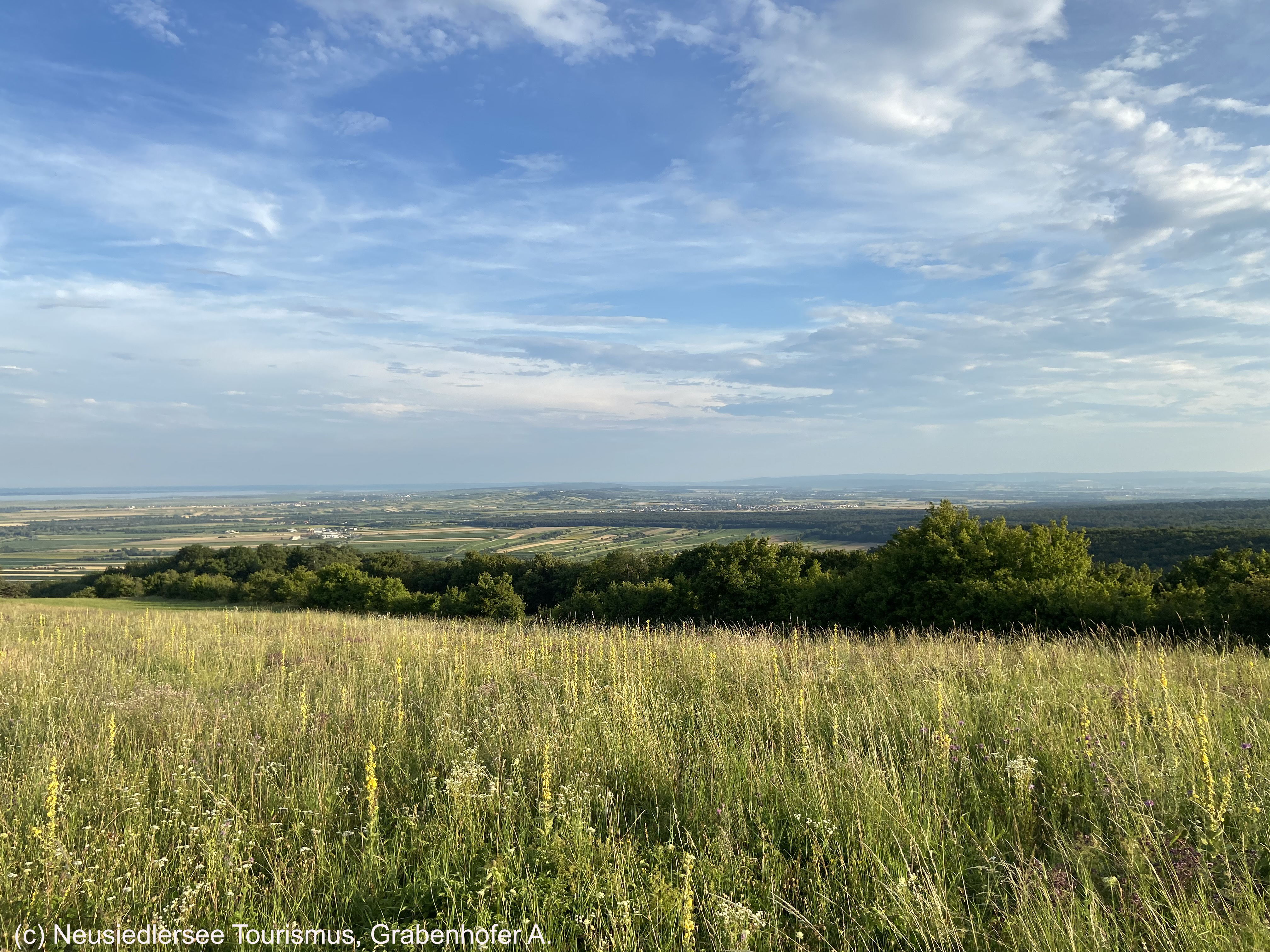 Grabenhofer A--..jpg