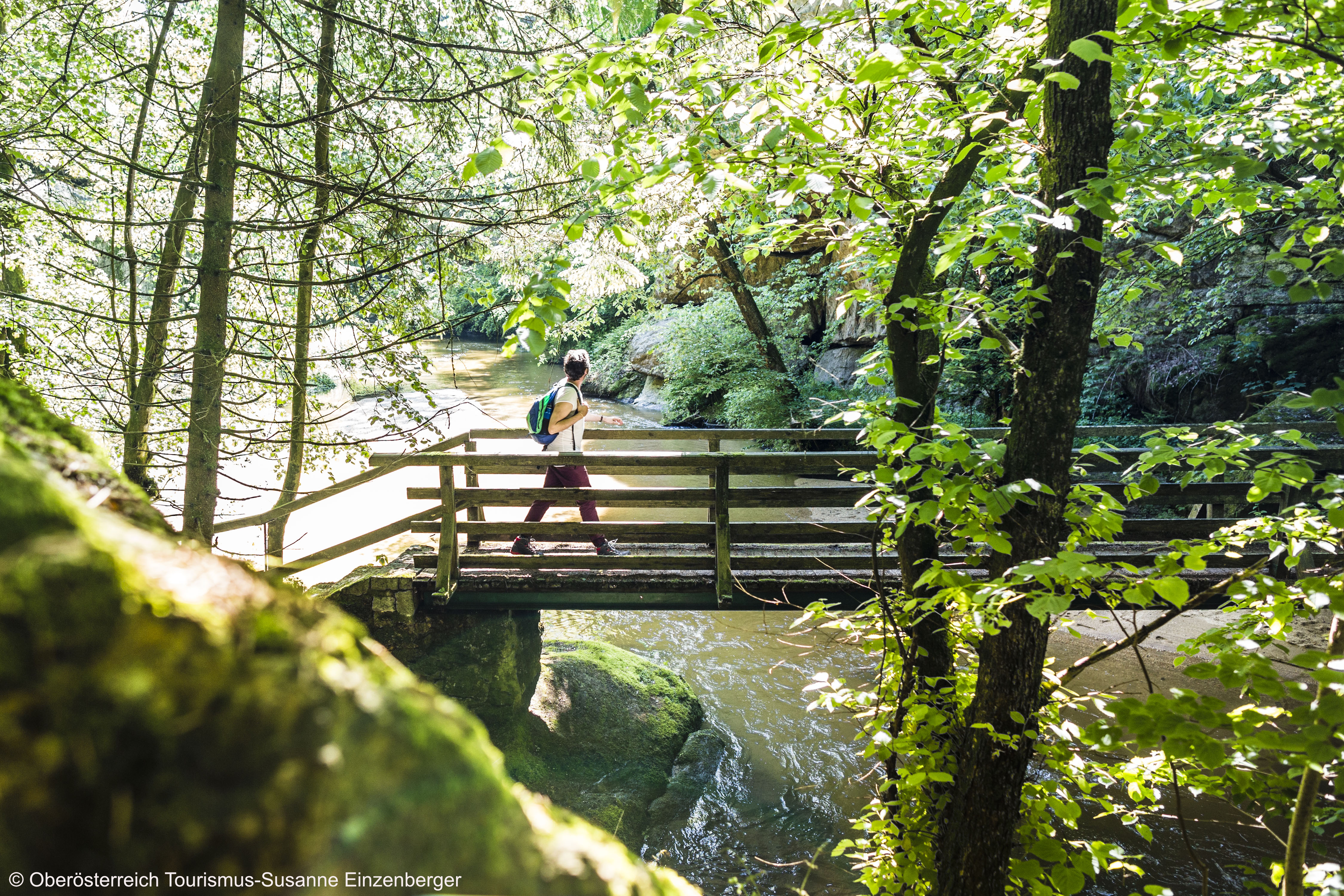 © Oberösterreich Tourismus-Susanne Einzenberger.jpg