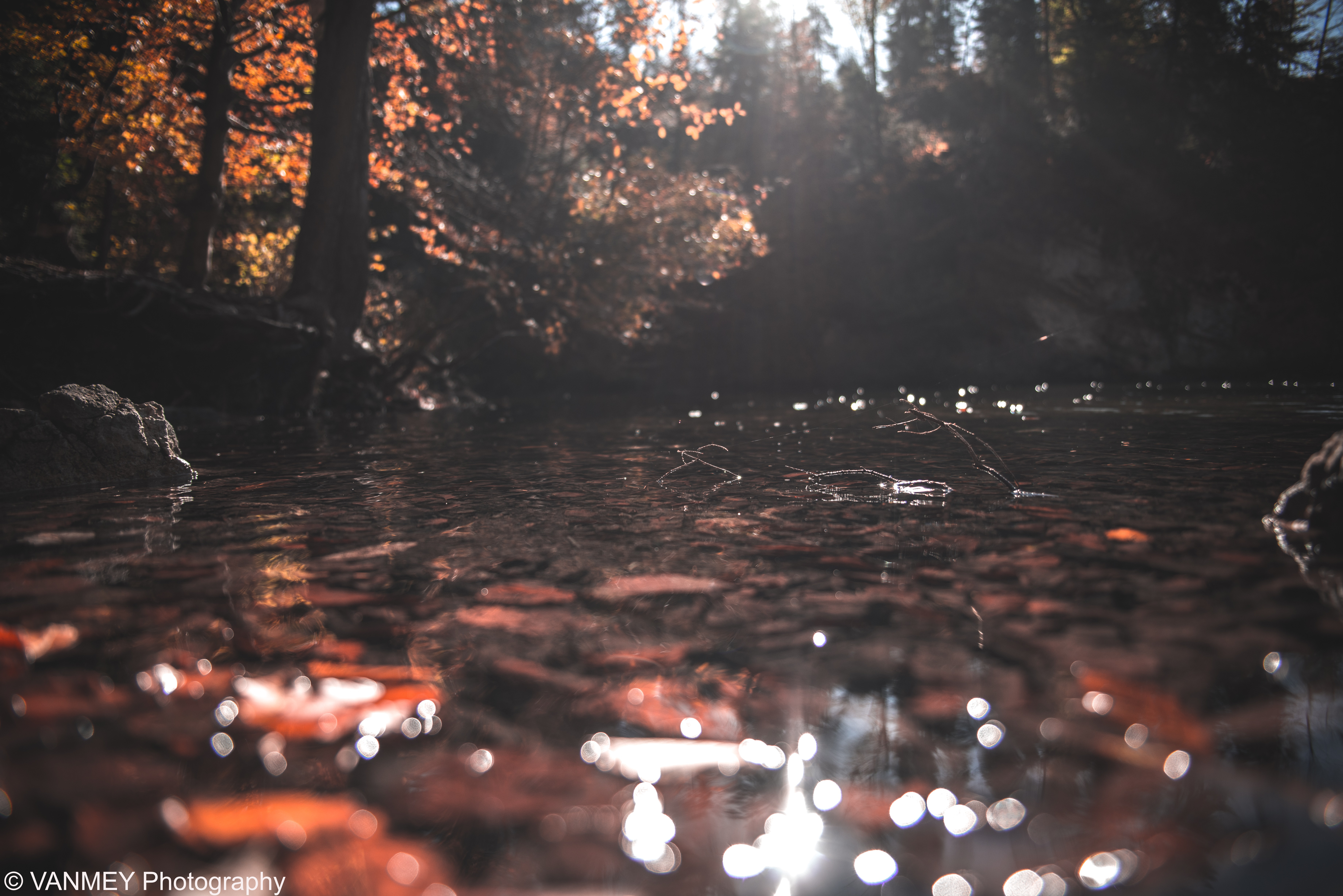 © VANMEY Photography.,.jpg