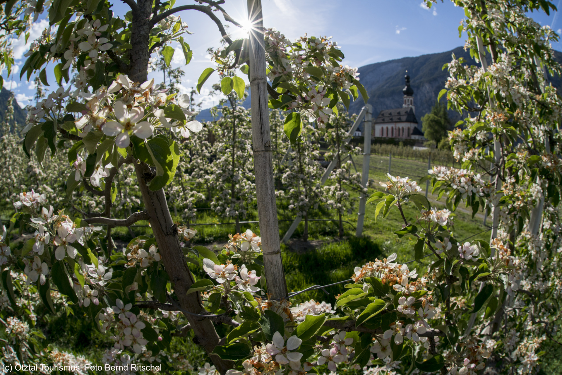 (c) Ötztal Tourismus, Foto Bernd Ritschel.jpg