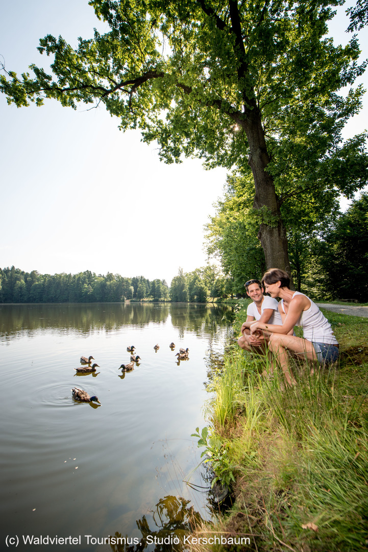 (c)Waldviertel Tourismus, Studio Kerschbaum..jpg