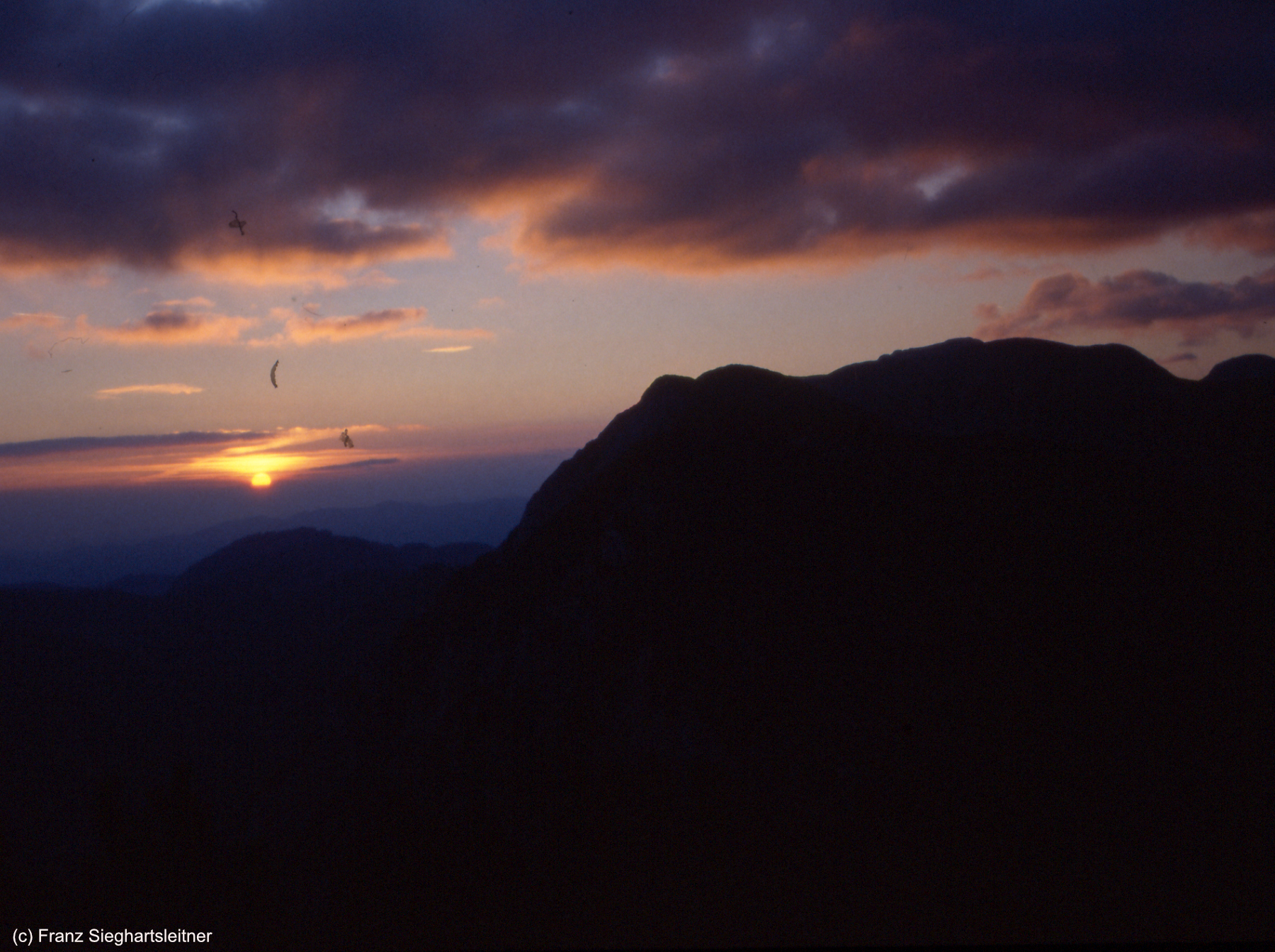 Franz Sieghartsleitner.jpg