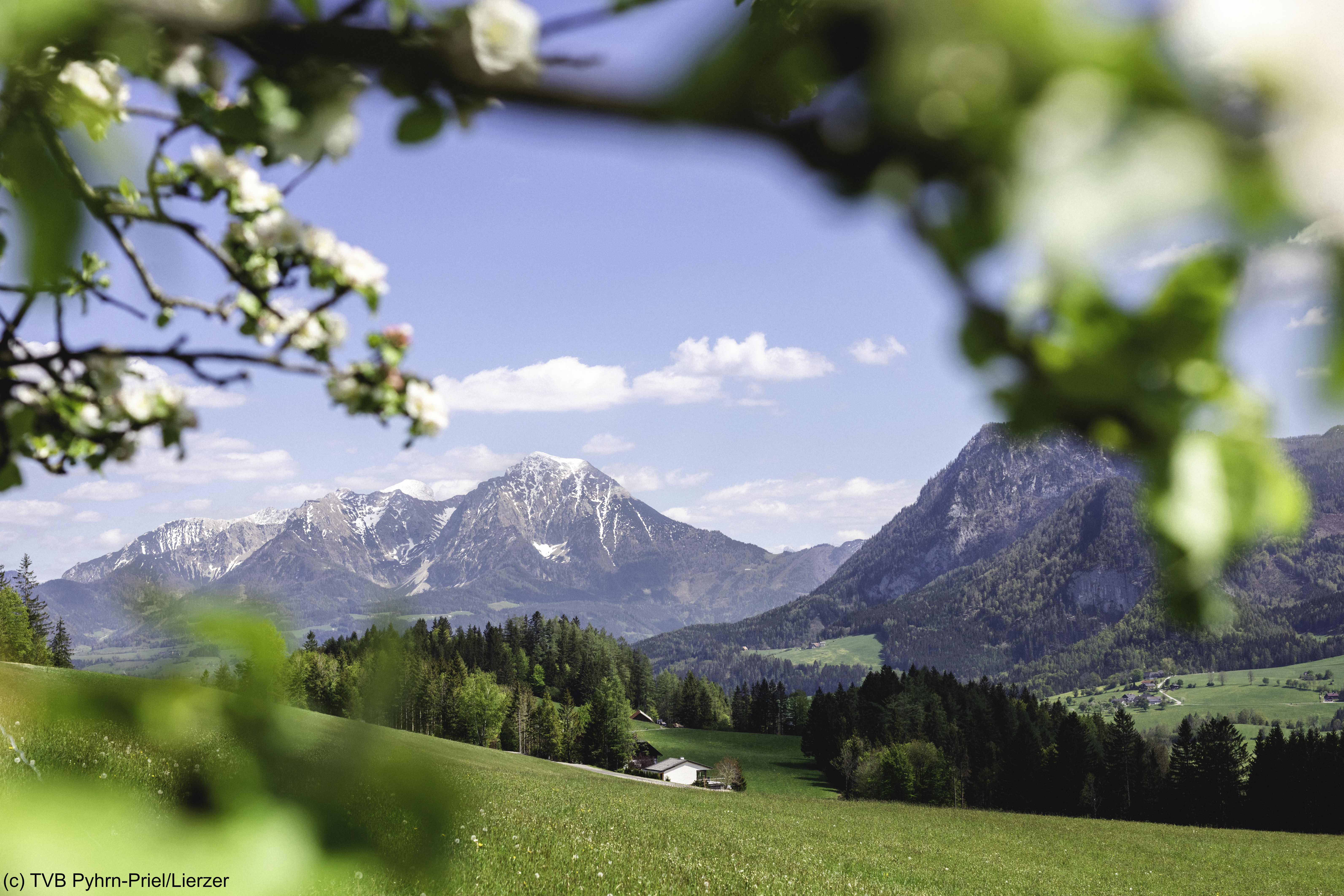 TVB Pyhrn-Priel:Lierzer..jpg