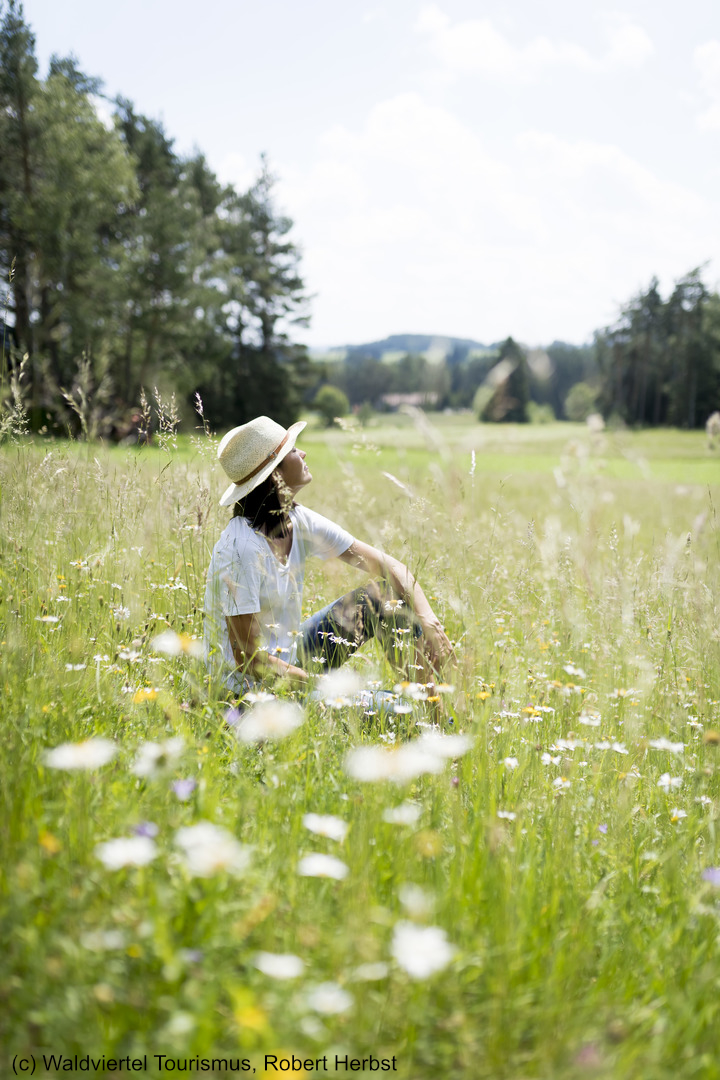 Waldviertel Tourismus, Robert Herbst.jpg