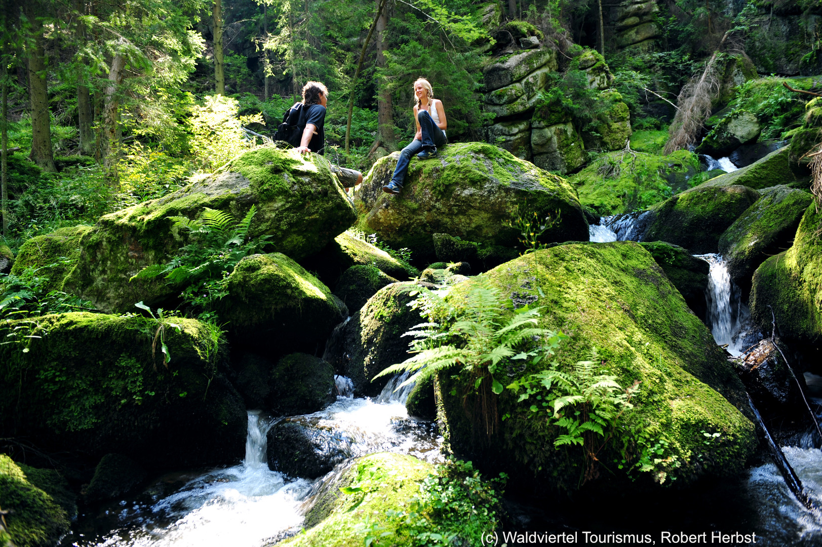 Waldviertel Tourismus, Robert Herbst.,.jpg