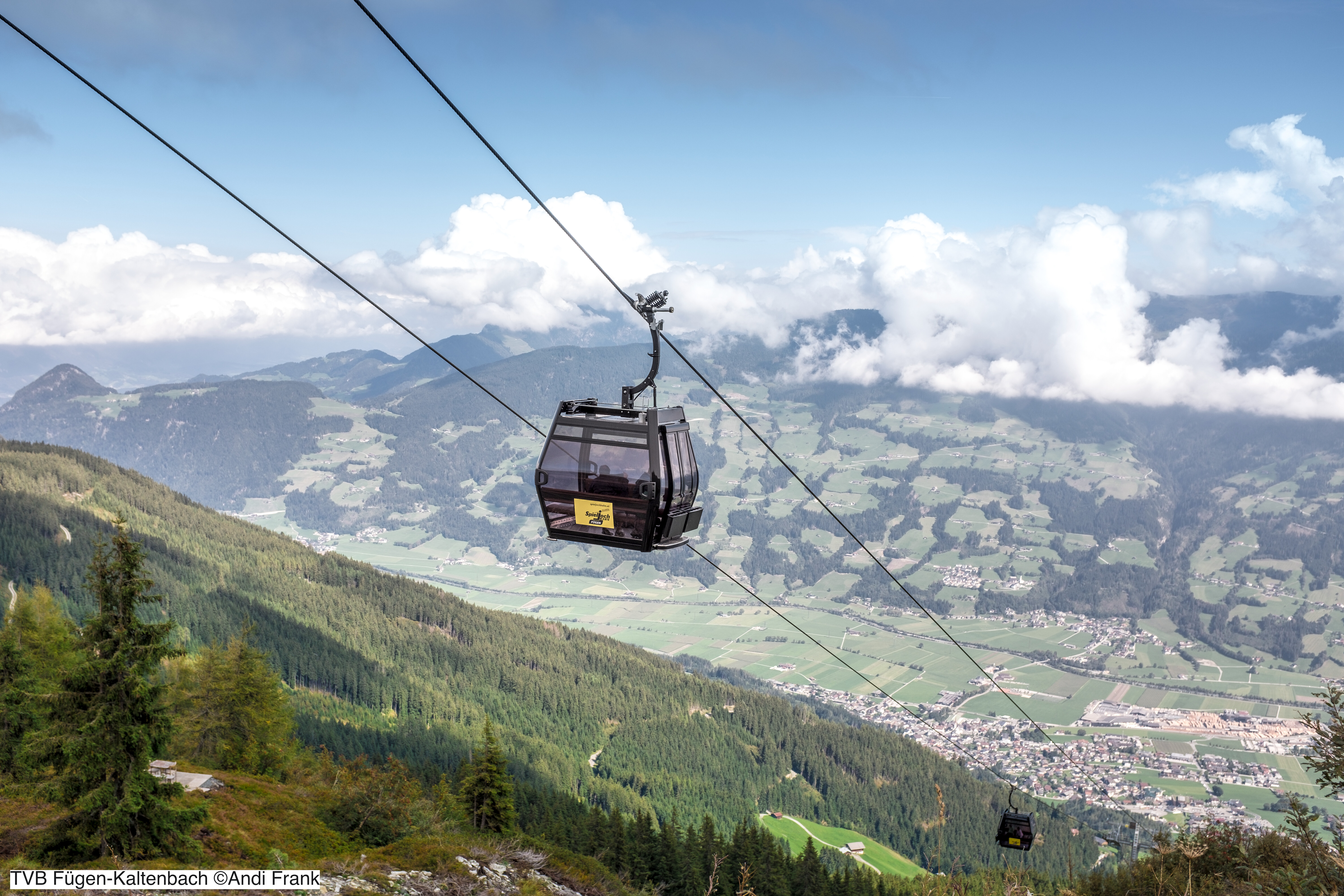 (c)Andi Frank (2).jpg