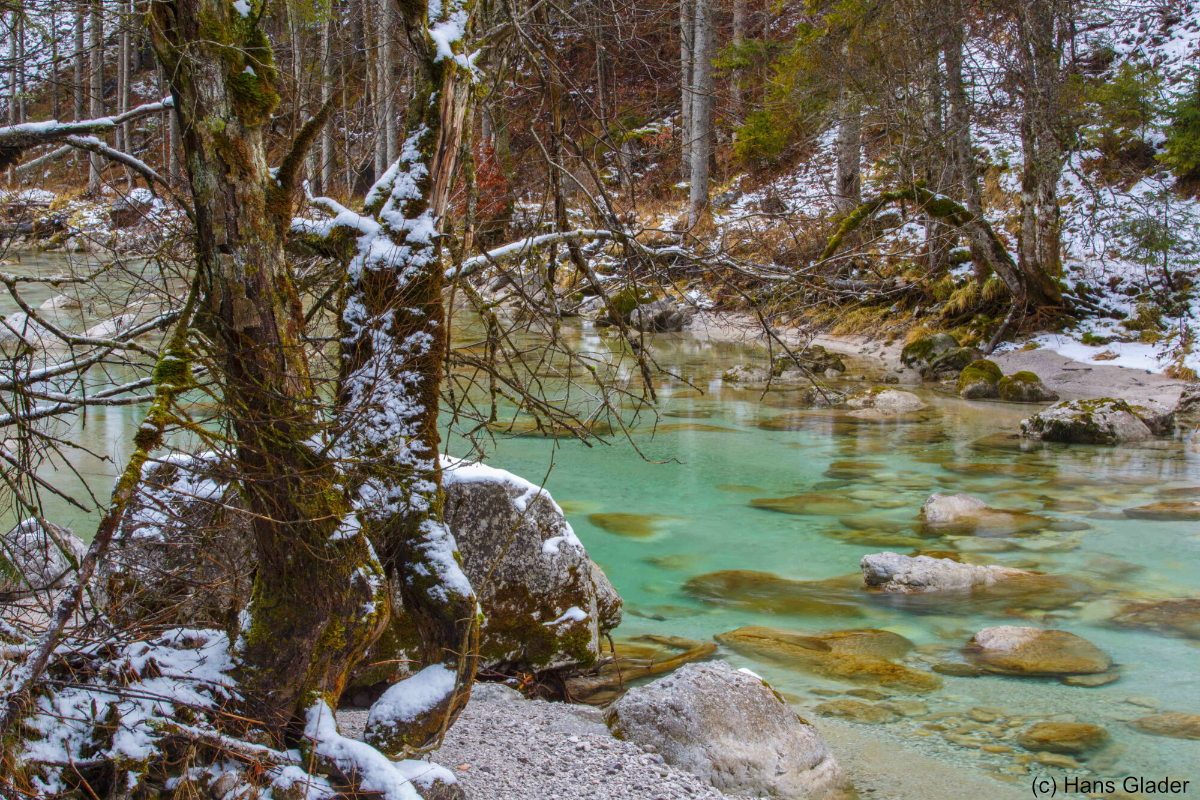 Wildnisgebiet 10.jpg