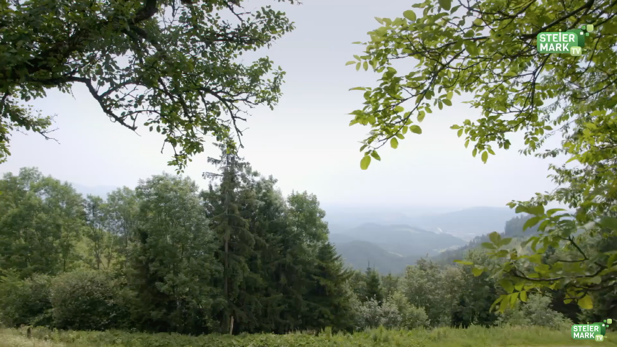 Mühlbacherhütte Gratwein 1.jpg